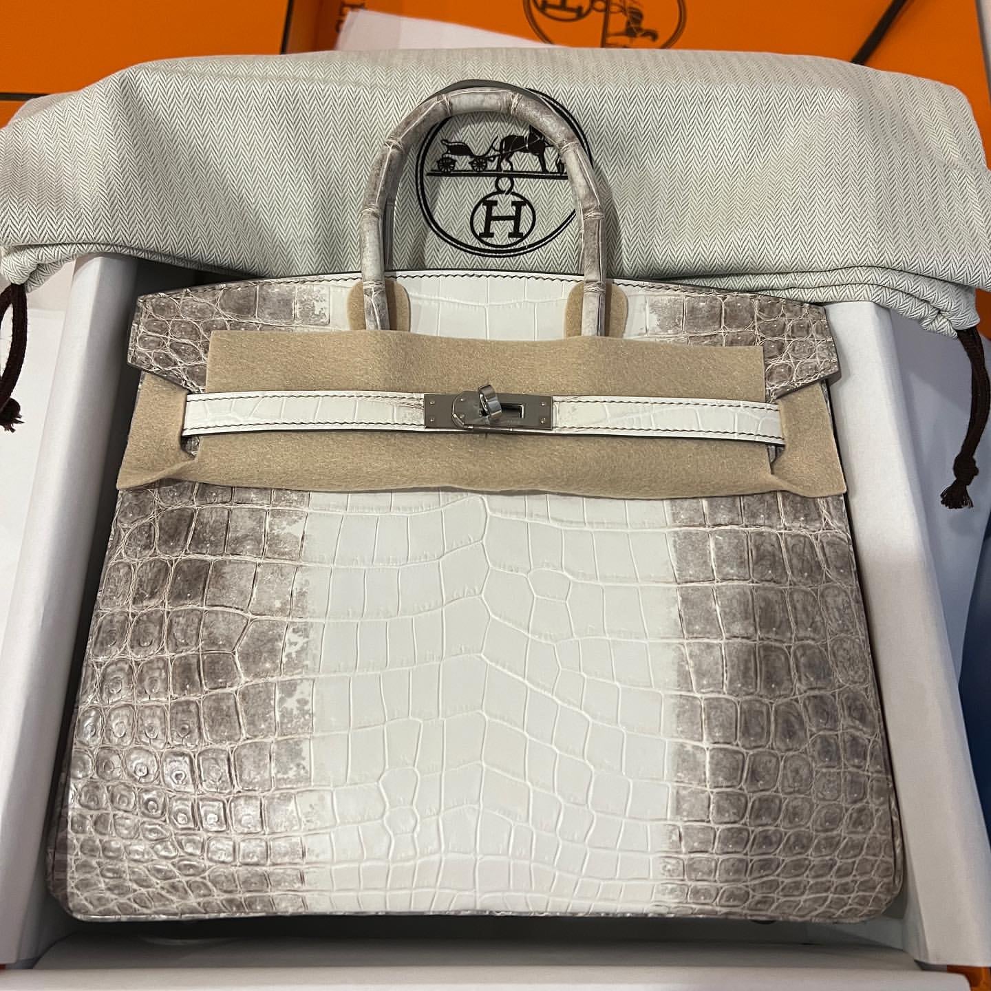 Hermès Birkin 25cm Women's Luxury Handmade Designer Handbag In Genuine Himalaya Niloticus Crocodile Skin - SUPER QUALITY